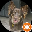 Mark Webb Avatar
